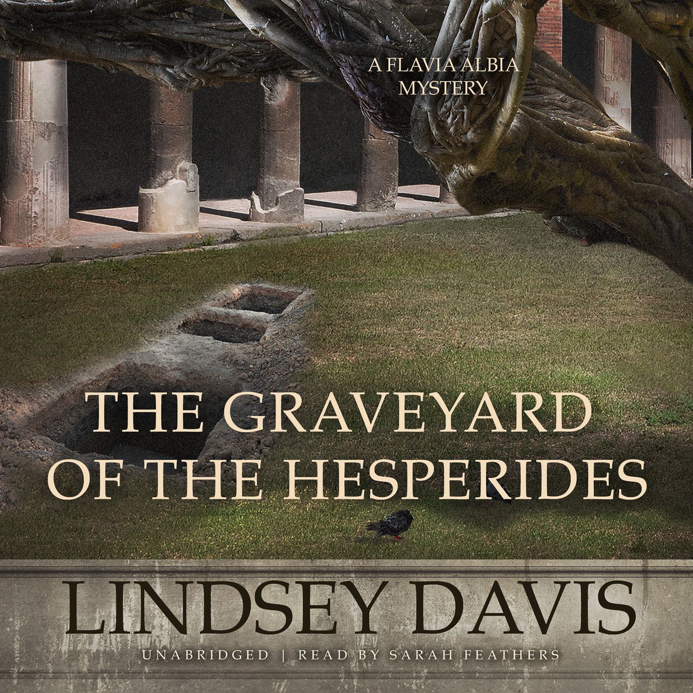 The Graveyard of the Hesperides: A Flavia Albia Mystery