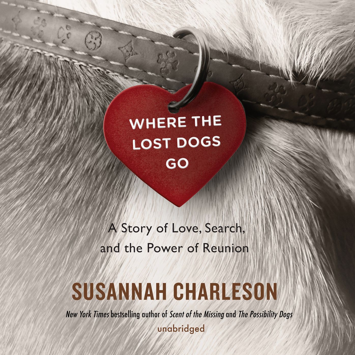 Where the Lost Dogs Go : A Story of Love, Search, and the Power of Reunion