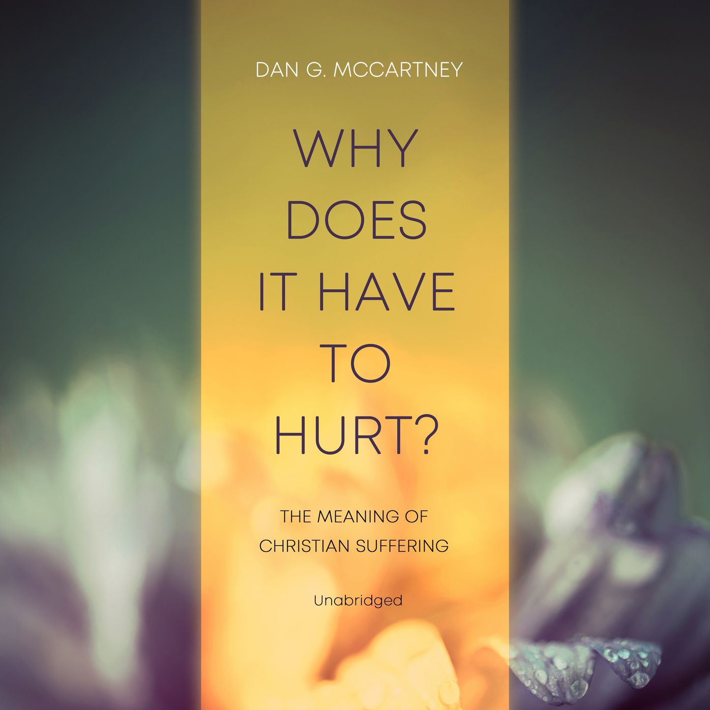 Why Does It Have to Hurt?: The Meaning of Christian Suffering