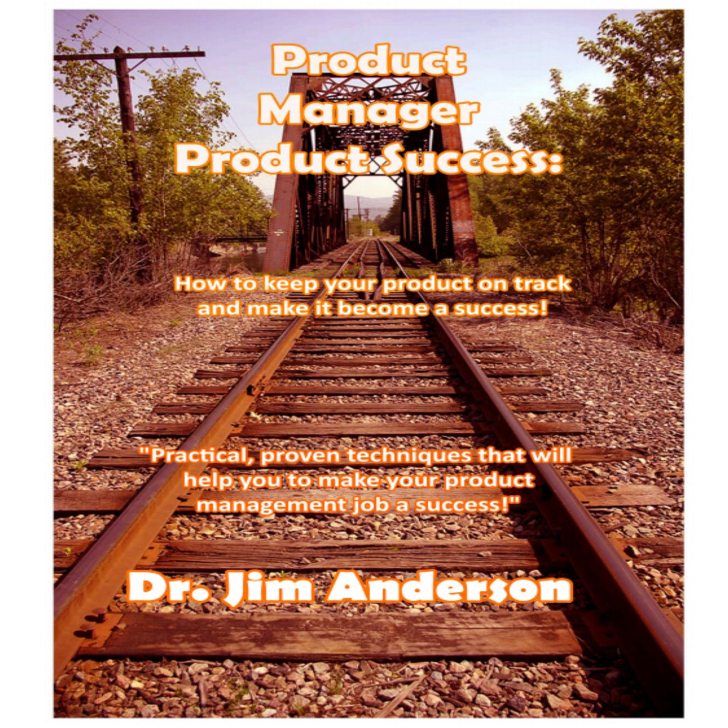 Product Manager Product Success: How to Keep Your Product on Track and Make it Become a Success!