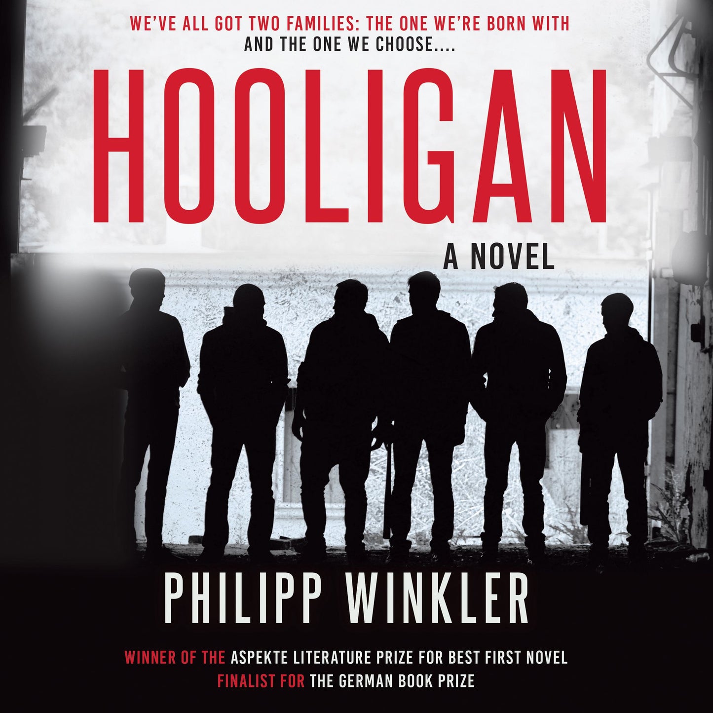 Hooligan: A Novel