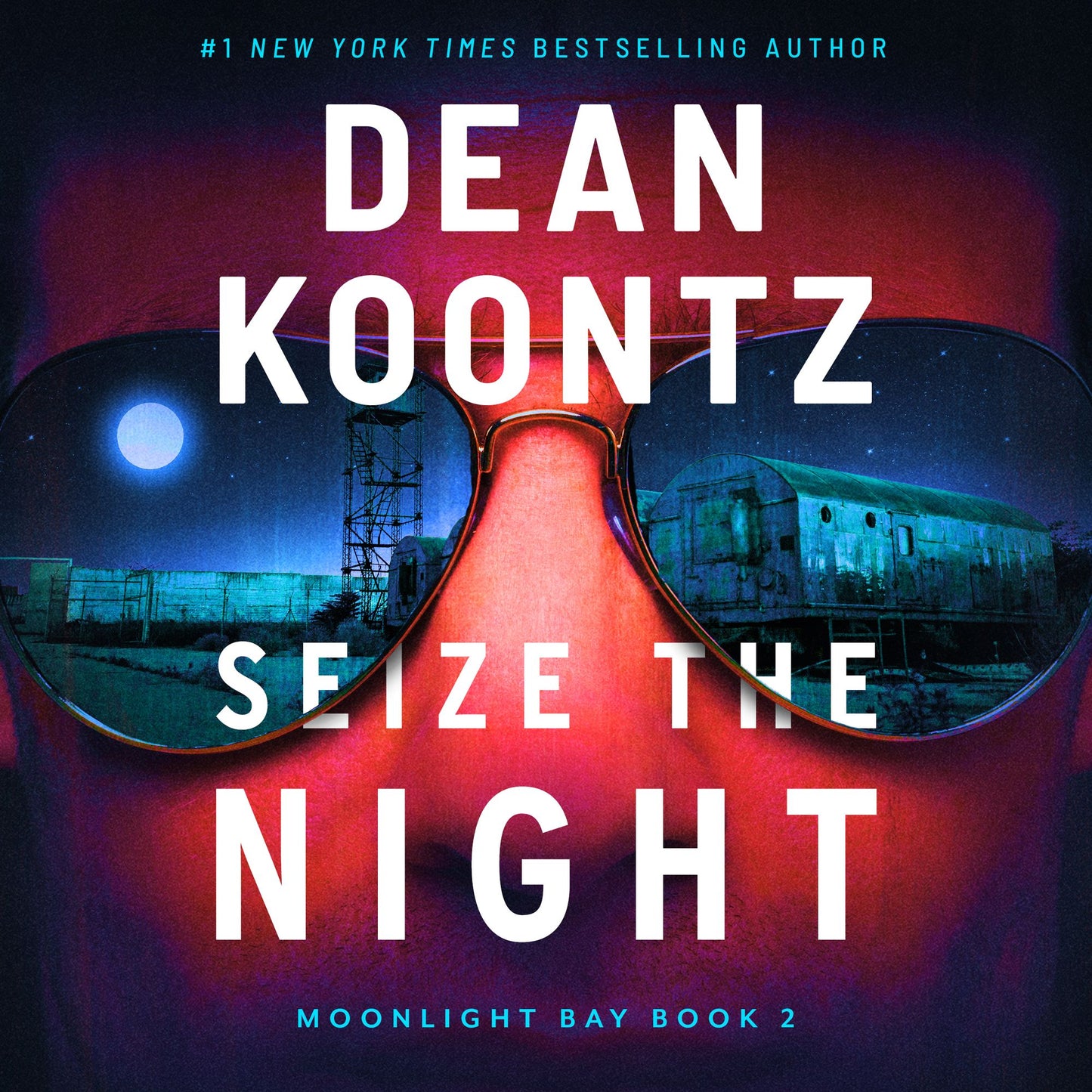 Seize the Night: A Novel
