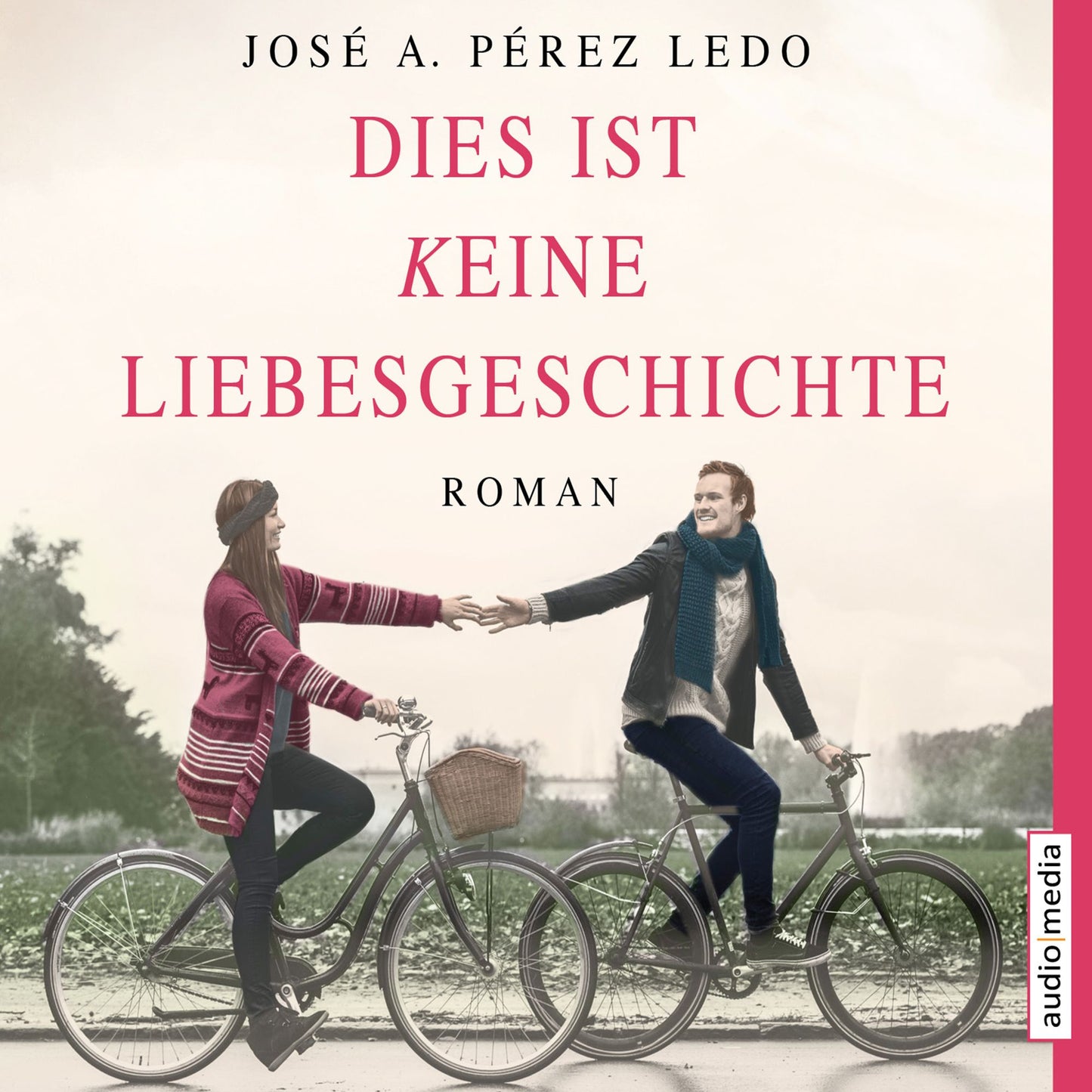 Dies ist keine Liebesgeschichte (Abridged)