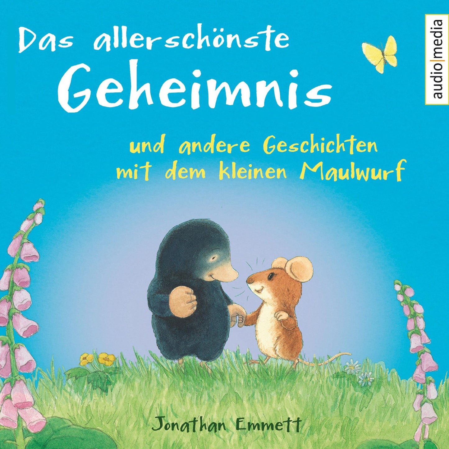 Das allerschönste Geheimnis und andere Geschichten mit dem kleinen Maulwurf