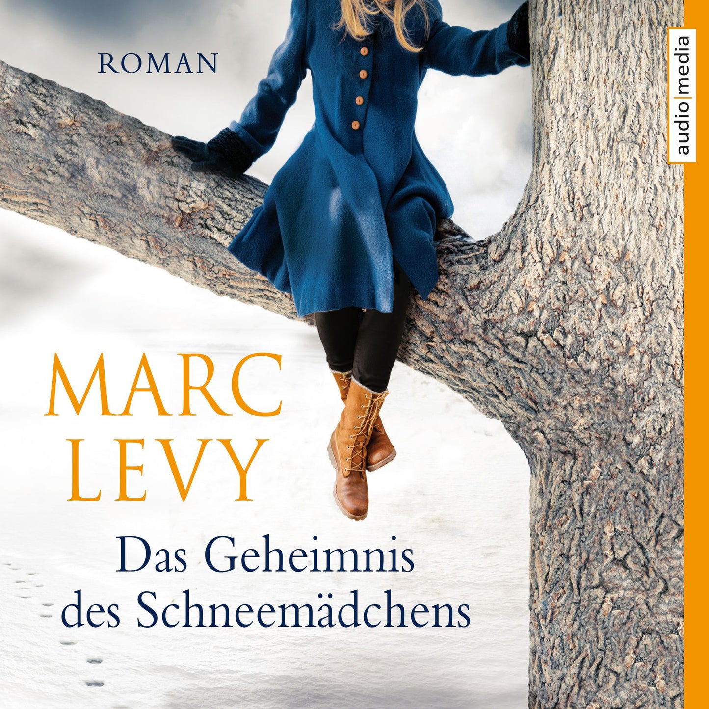 Das Geheimnis des Schneemädchens (Abridged)