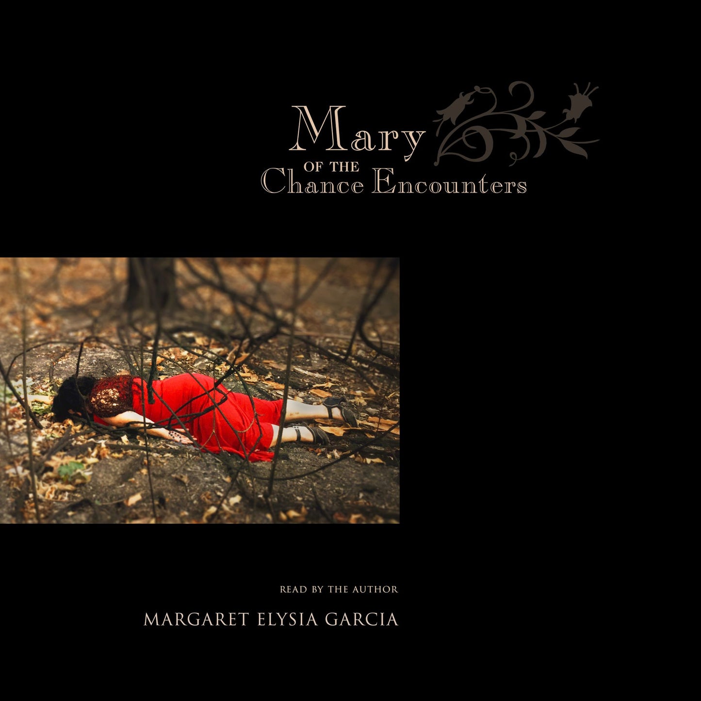 Mary of the Chance Encounters