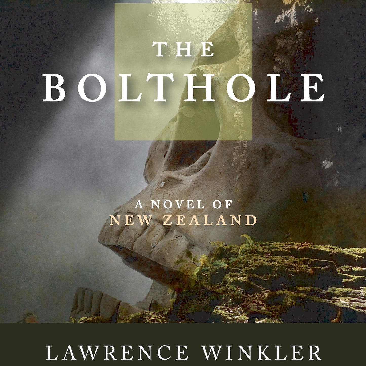 The Bolthole: A Novel of New Zealand