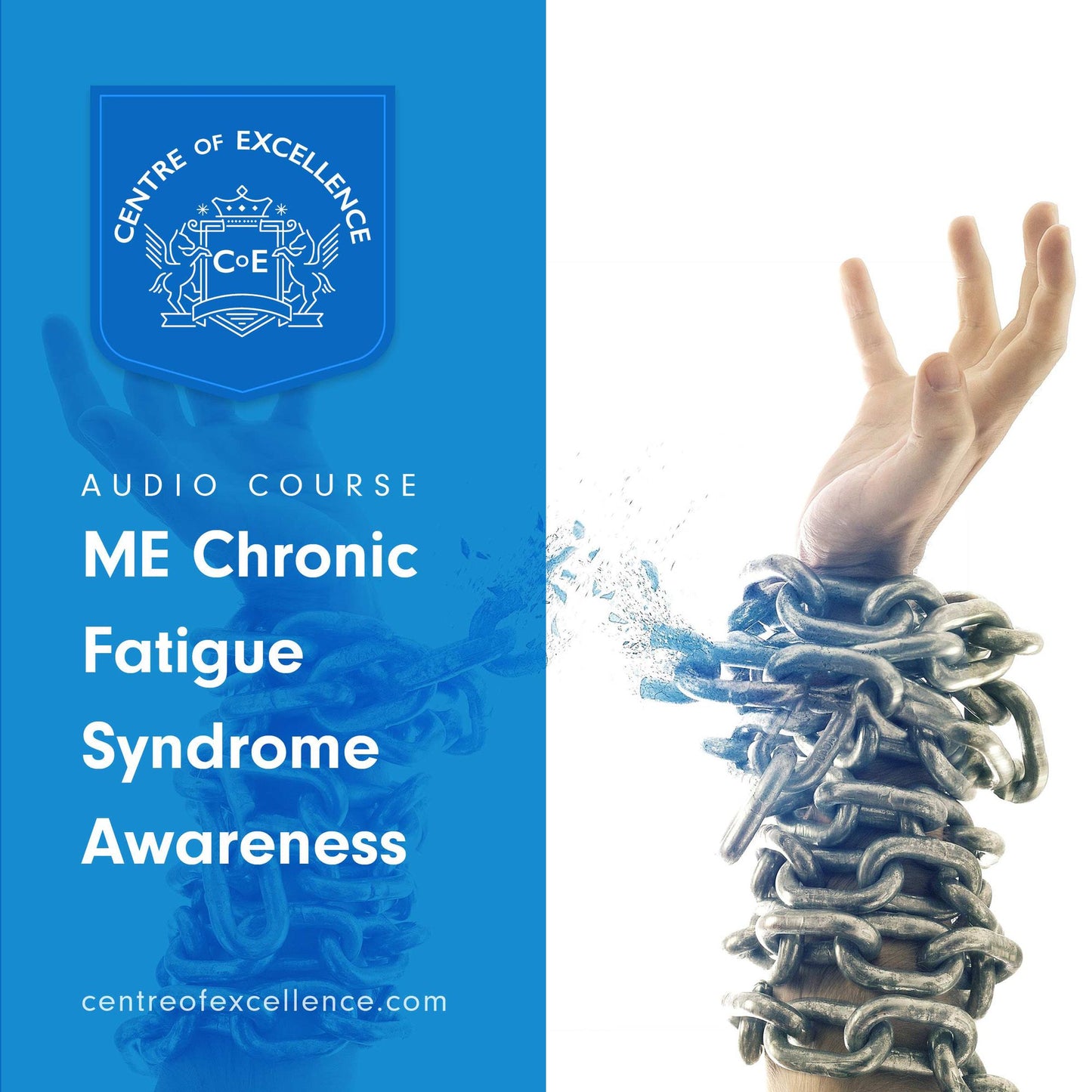 ME/Chronic Fatigue Syndrome Awareness: Audio Course