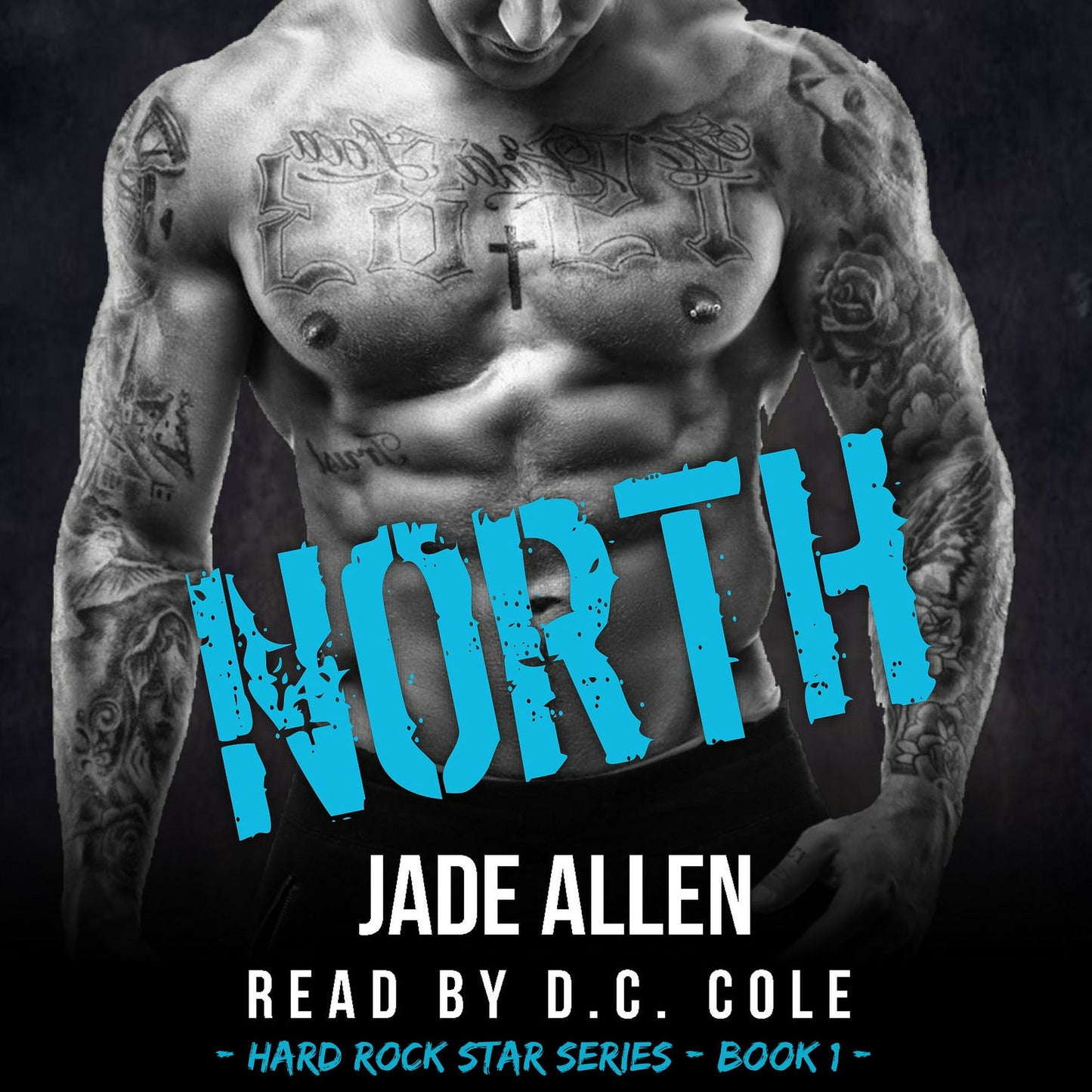 North: Hard Rock Star Series, Book 1