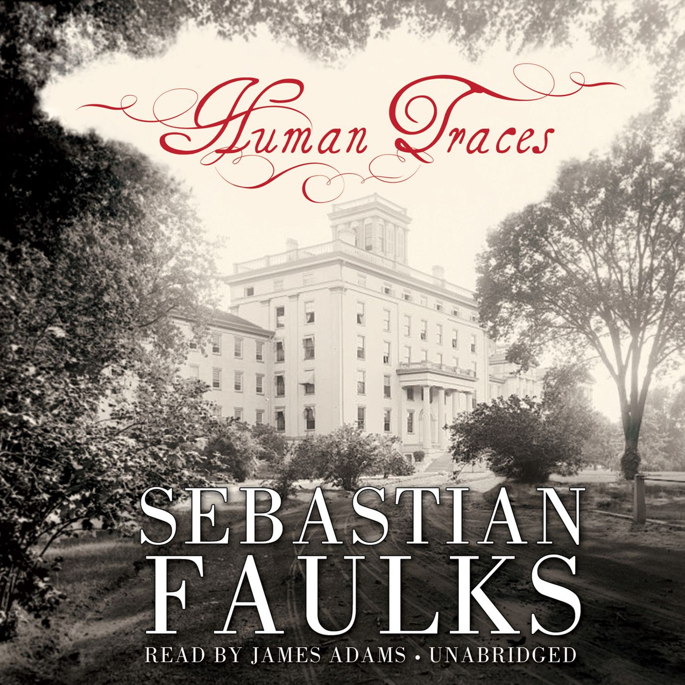 Human Traces: A Novel