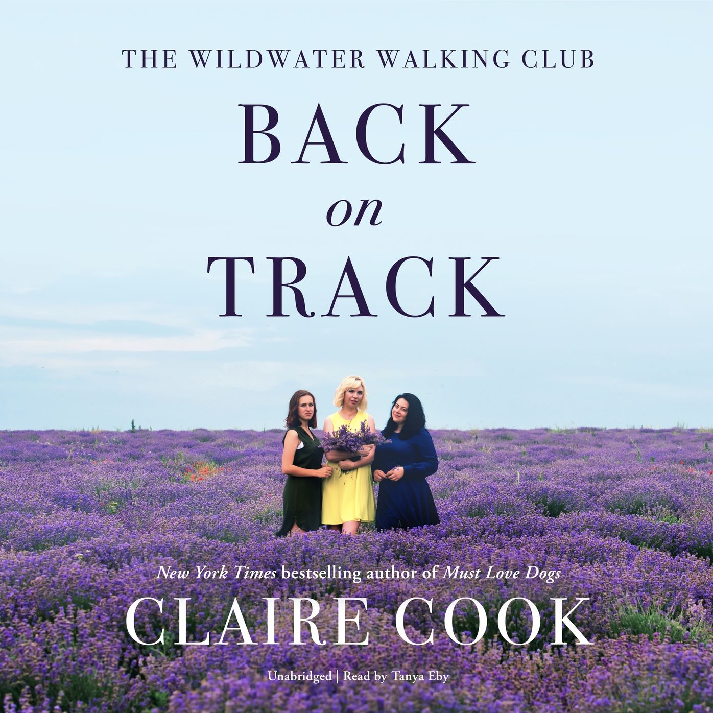 Back on Track: The Wildwater Walking Club Series, Book 2