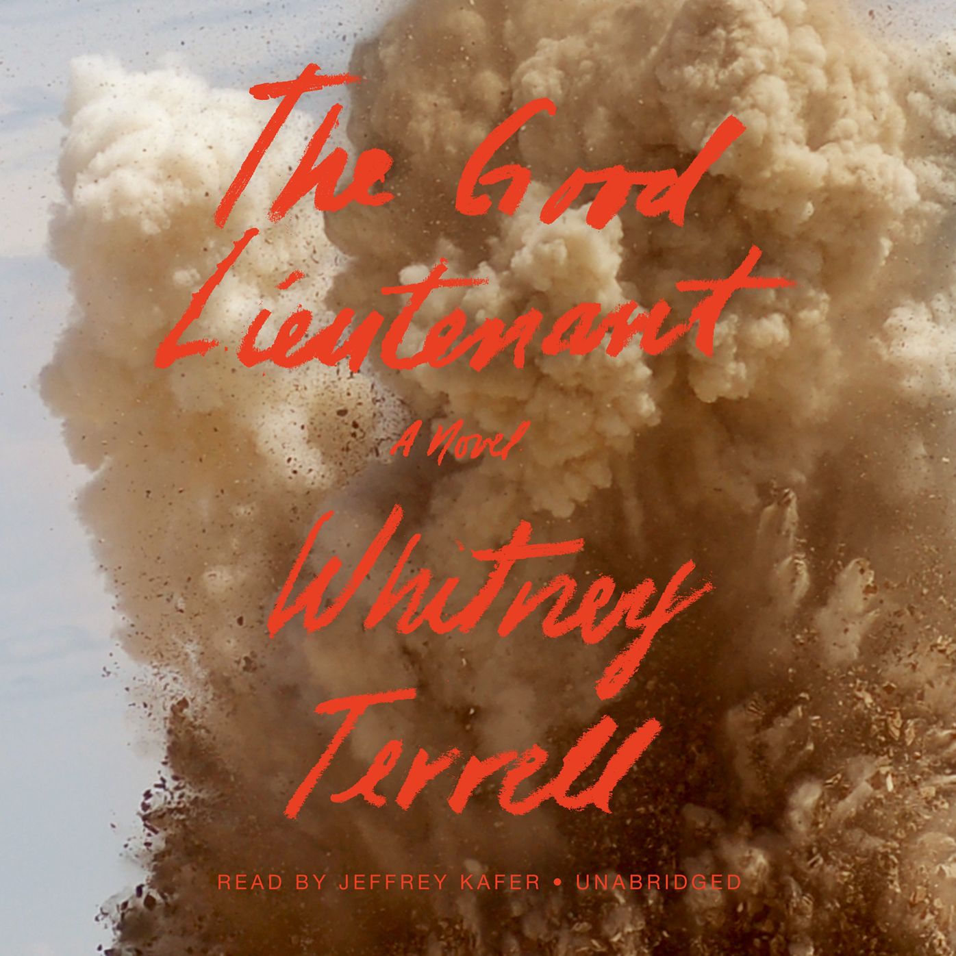 The Good Lieutenant: A Novel