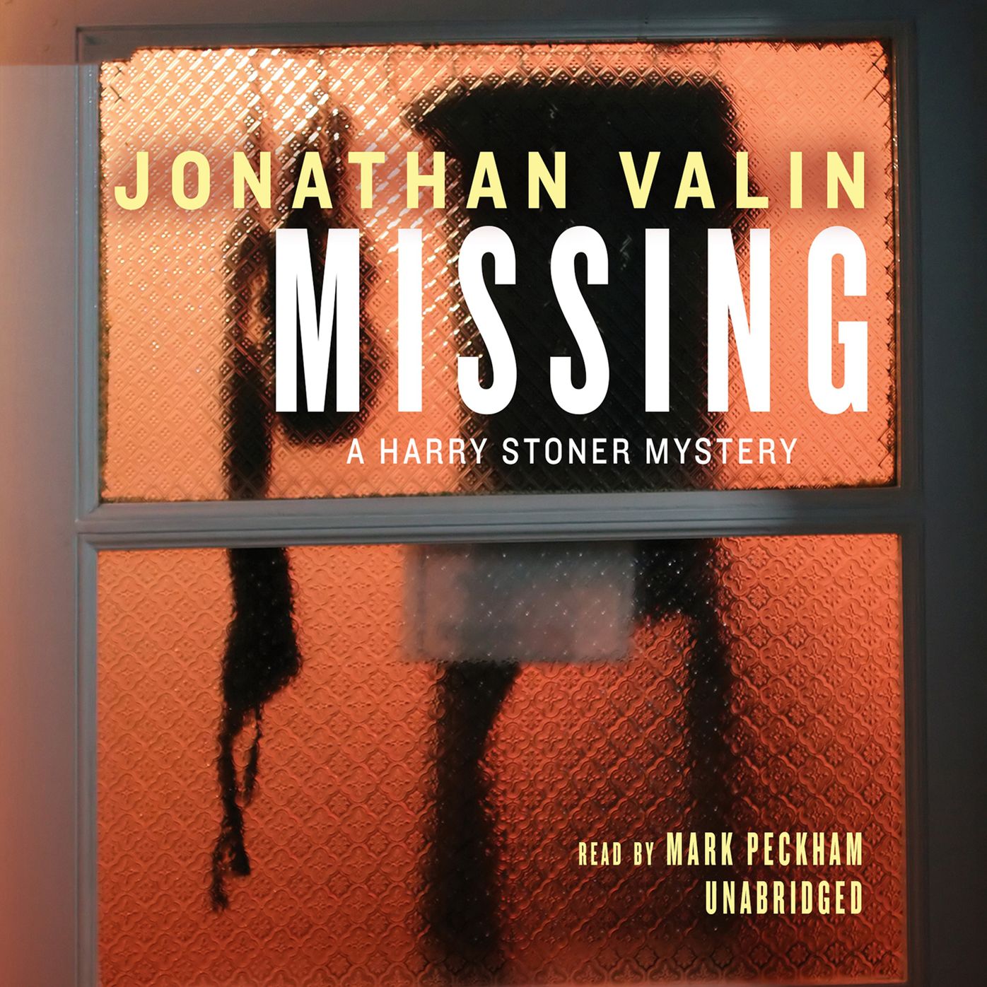 Missing: A Harry Stoner Mystery, Book 11