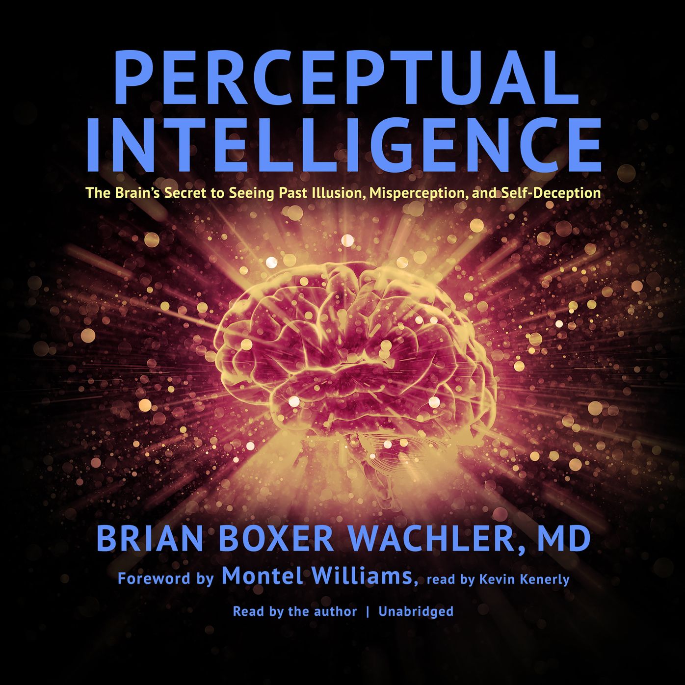 Perceptual Intelligence: The Brain¿s Secret to Seeing Past Illusion, Misperception, and Self-Deception