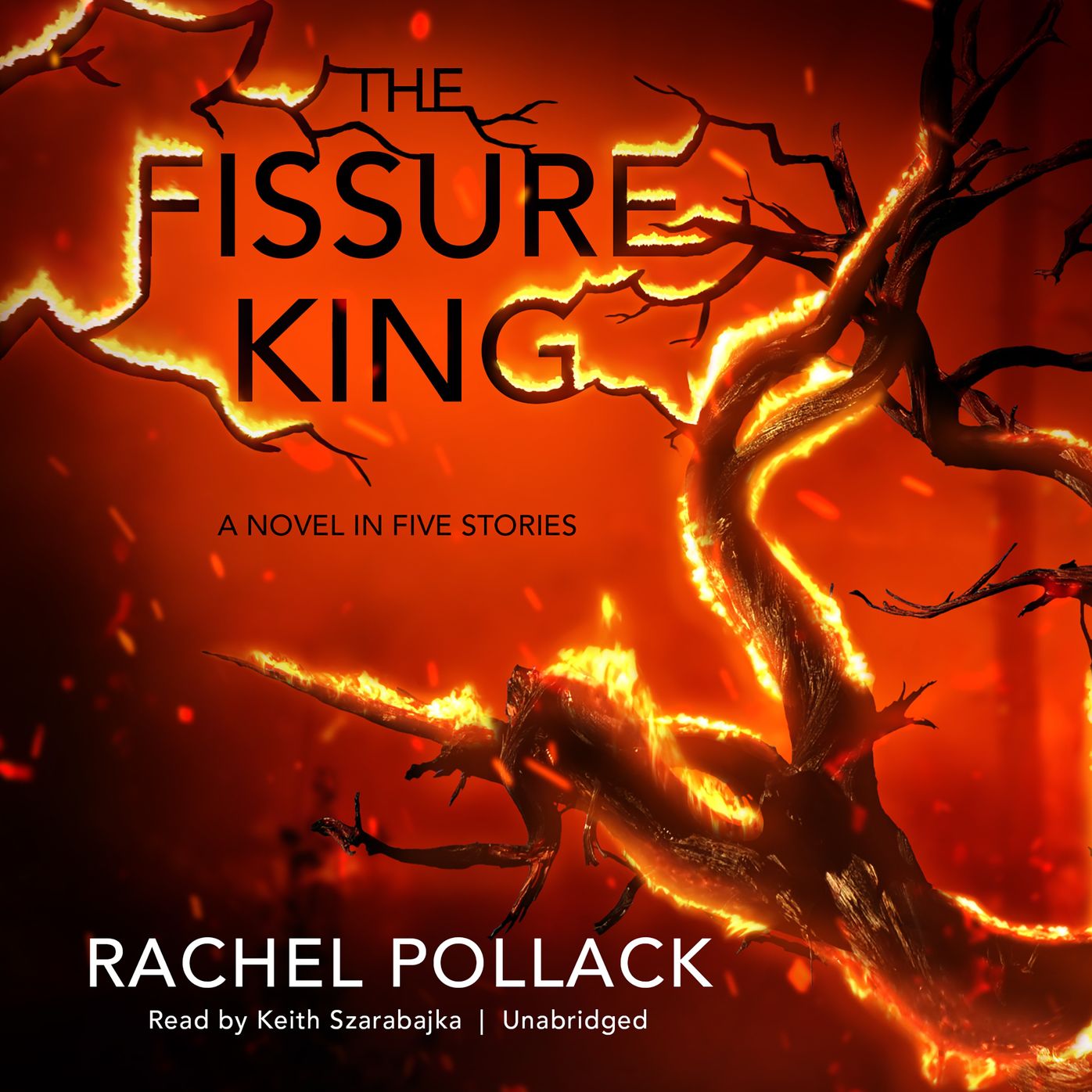 The Fissure King: A Novel in Five Stories