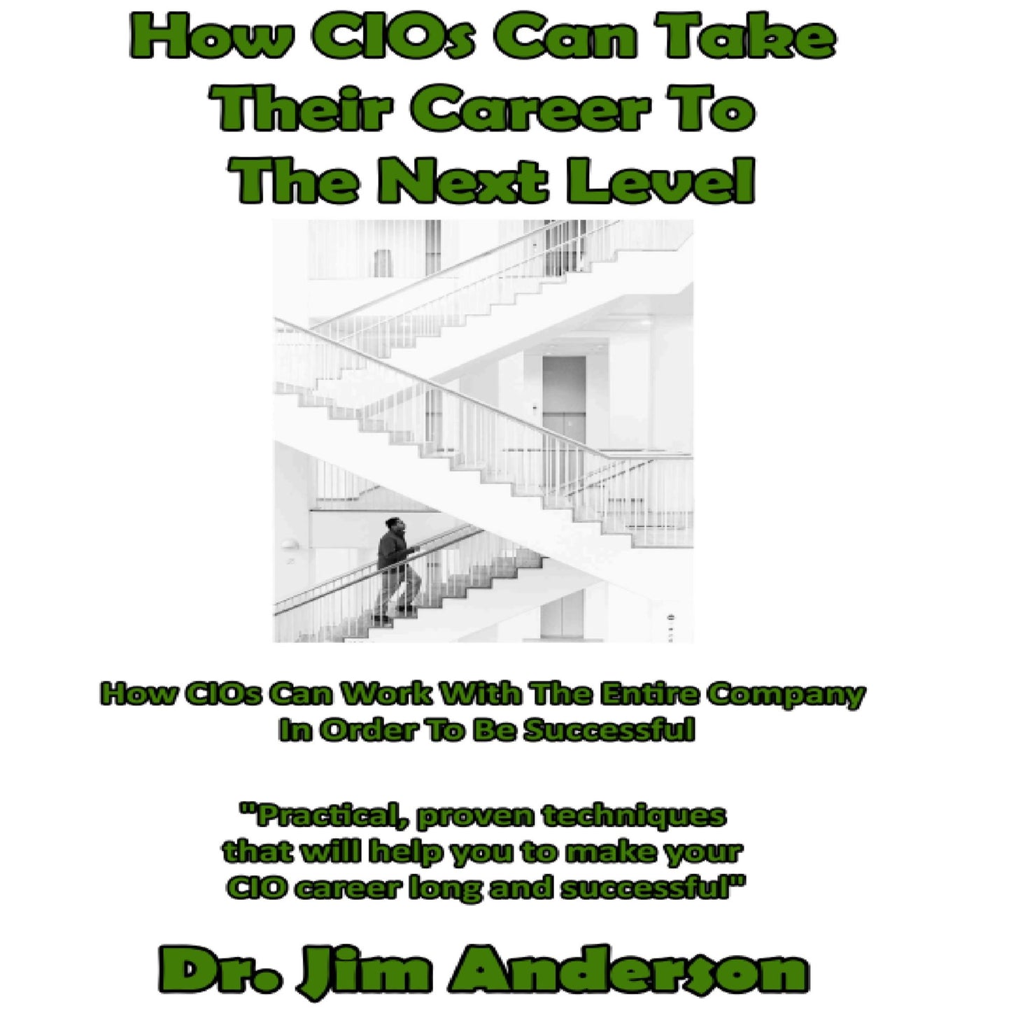 How CIOs Can Take Their Career to the Next Level: How CIOs Can Work With the Entire Company in Order to Be Successful
