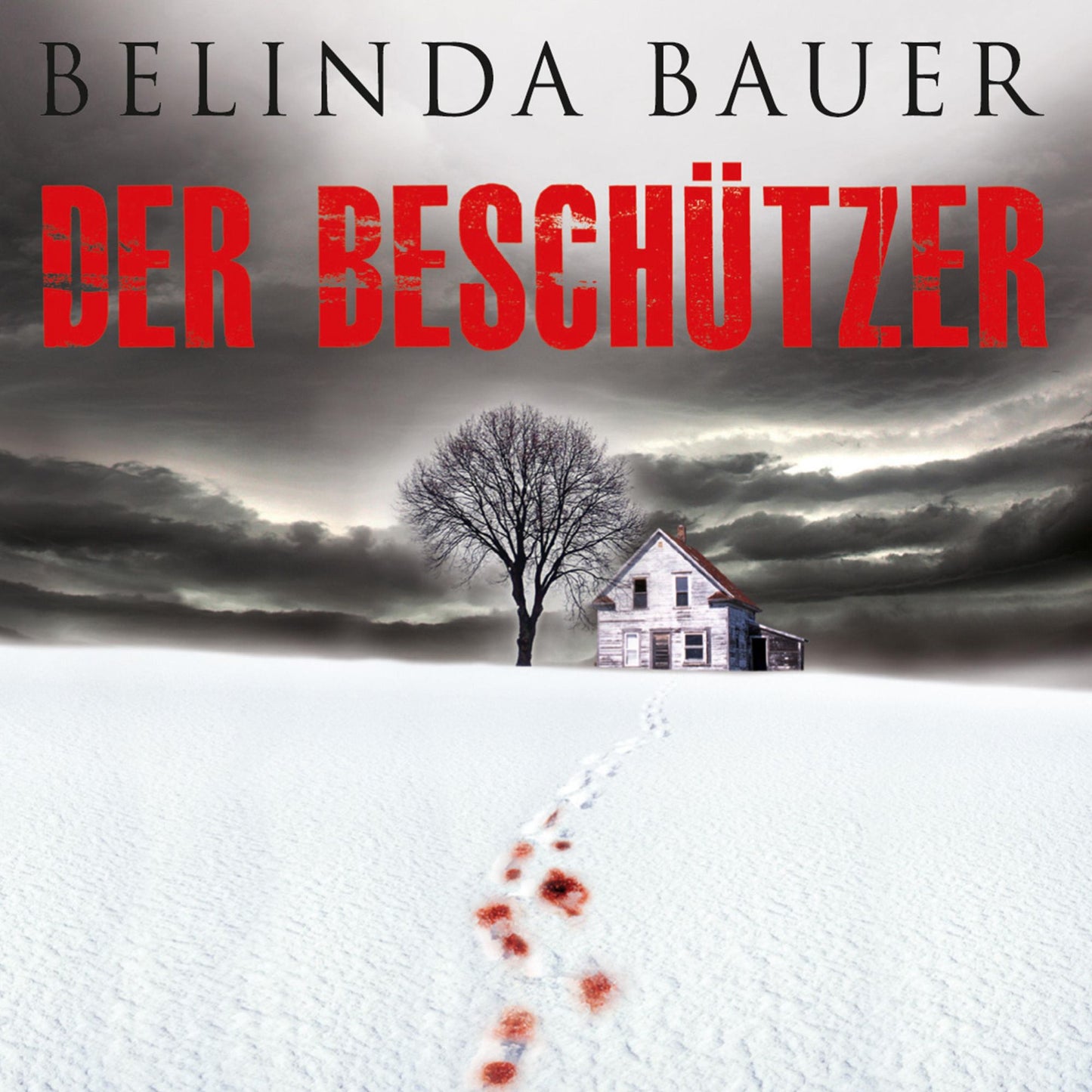 Der Beschützer