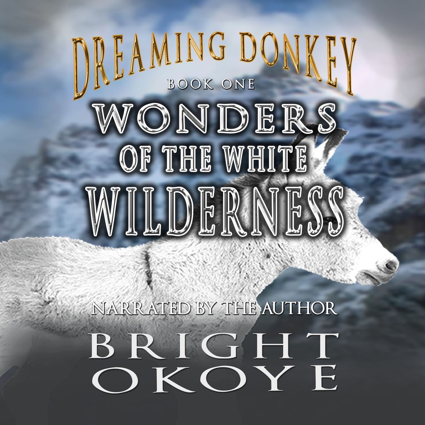 Wonders of the White Wilderness: Dreaming Donkey - Book One