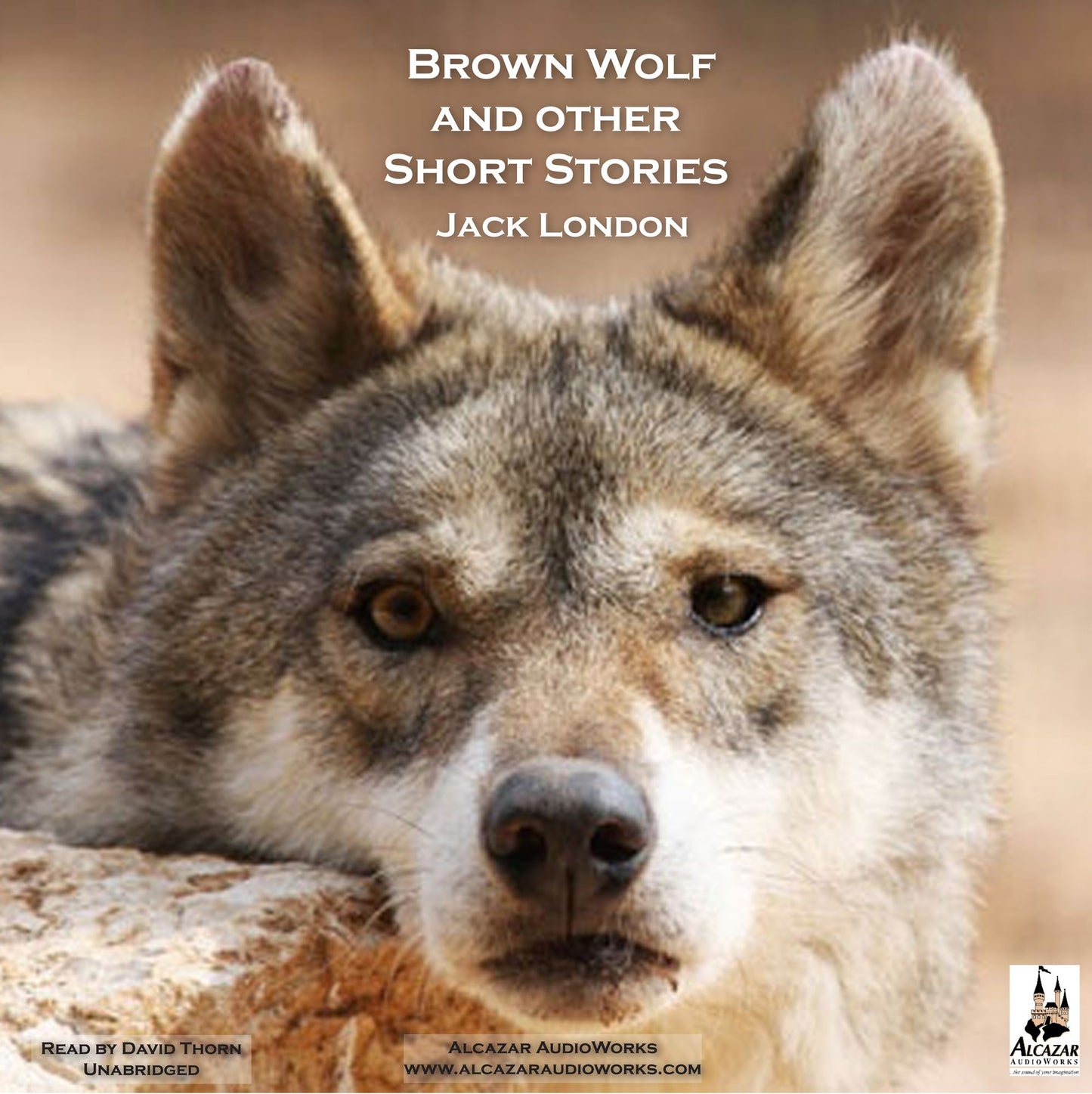 Brown Wolf and Other Stories: Brown Wolf, Just Meat, A Day's Lodging and Amateur Night