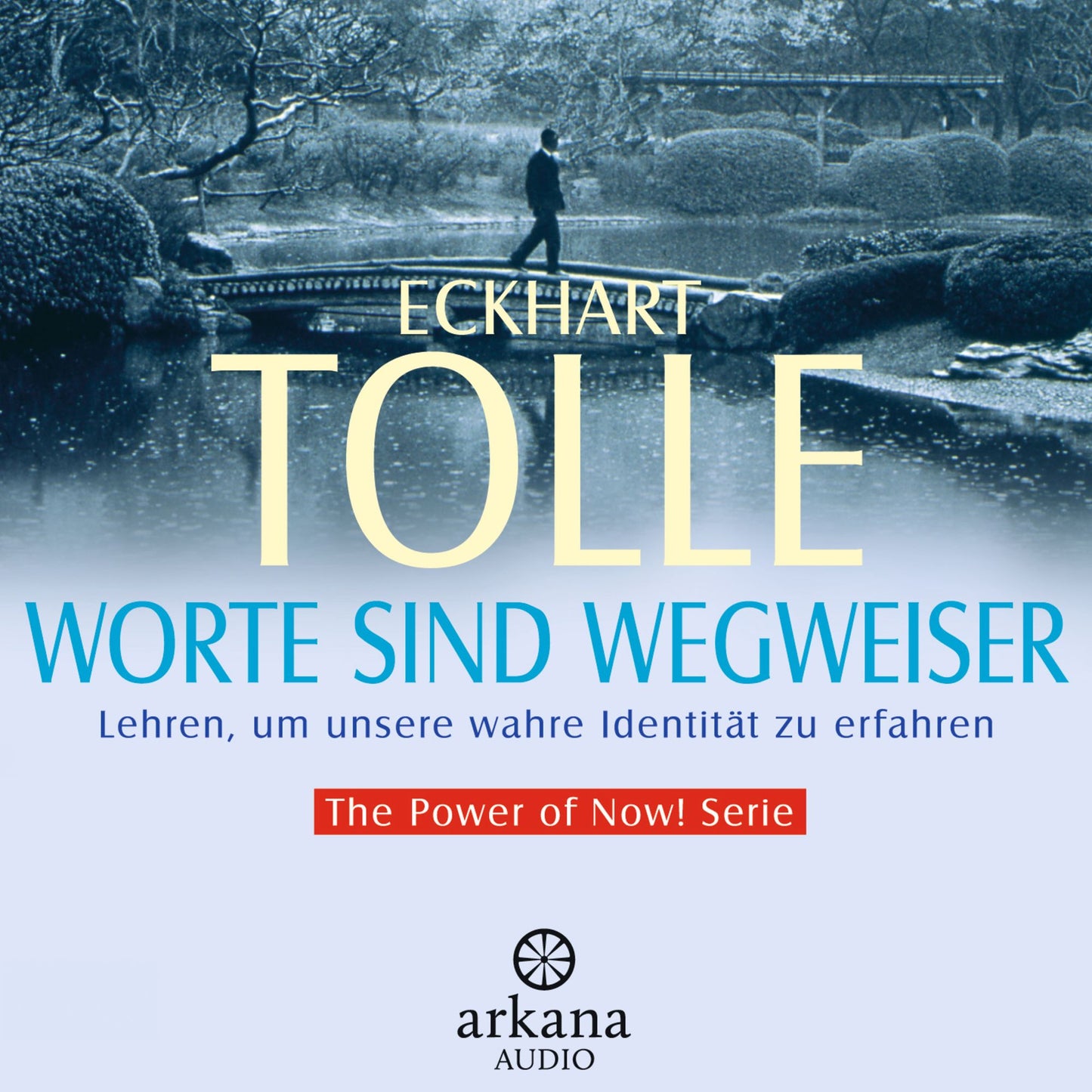 Worte sind Wegweiser: Lehren, um unsere wahre Identität zu erfahren - The Power of Now! Serie (Abridged)
