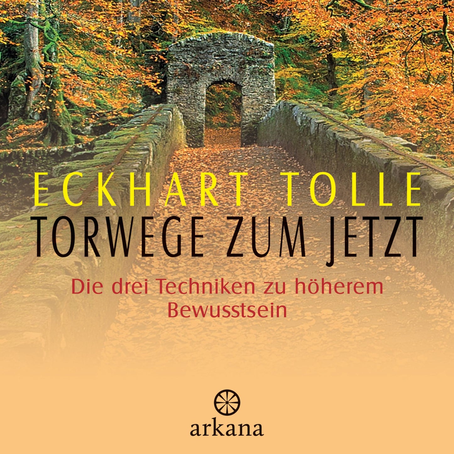 Torwege zum Jetzt: Die drei Techniken zu höherem Bewusstsein (Abridged)