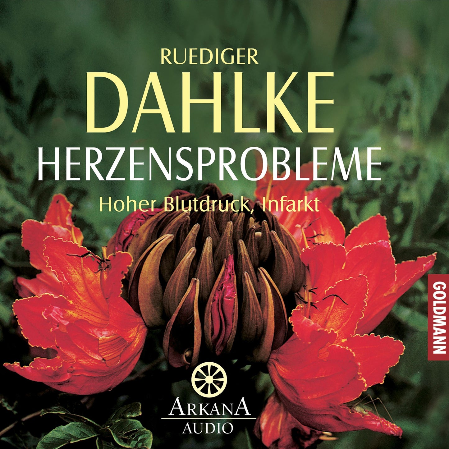 Herzensprobleme: Hoher Blutdruck, Infarkt -