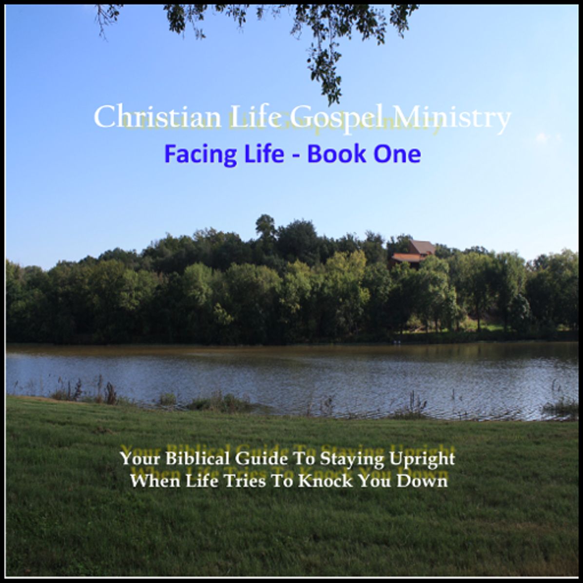 Facing Life ¿ Book One: Your Biblical Guide To Staying Upright When Life Tries To Knock You Down