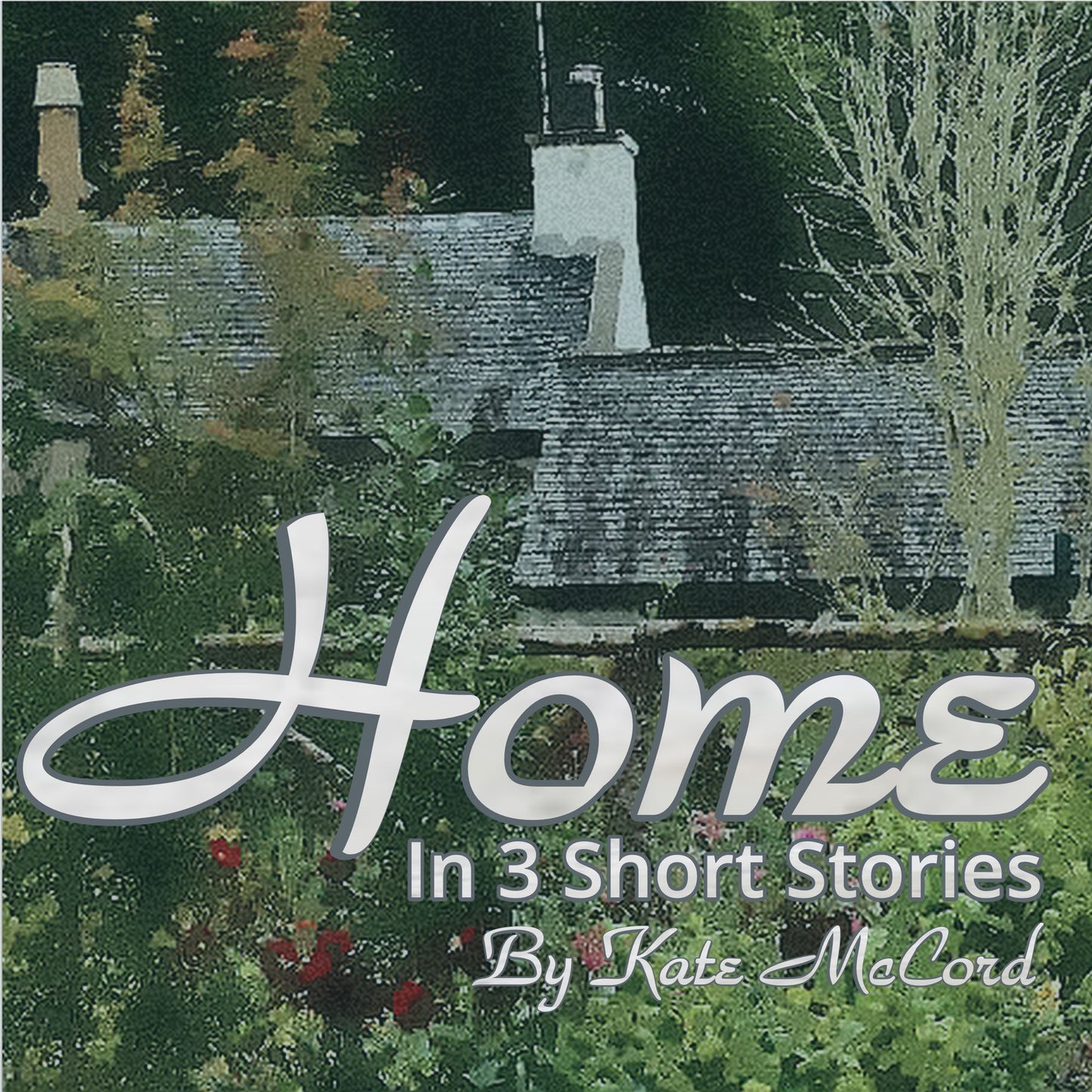 Home ~ In Three Short Stories