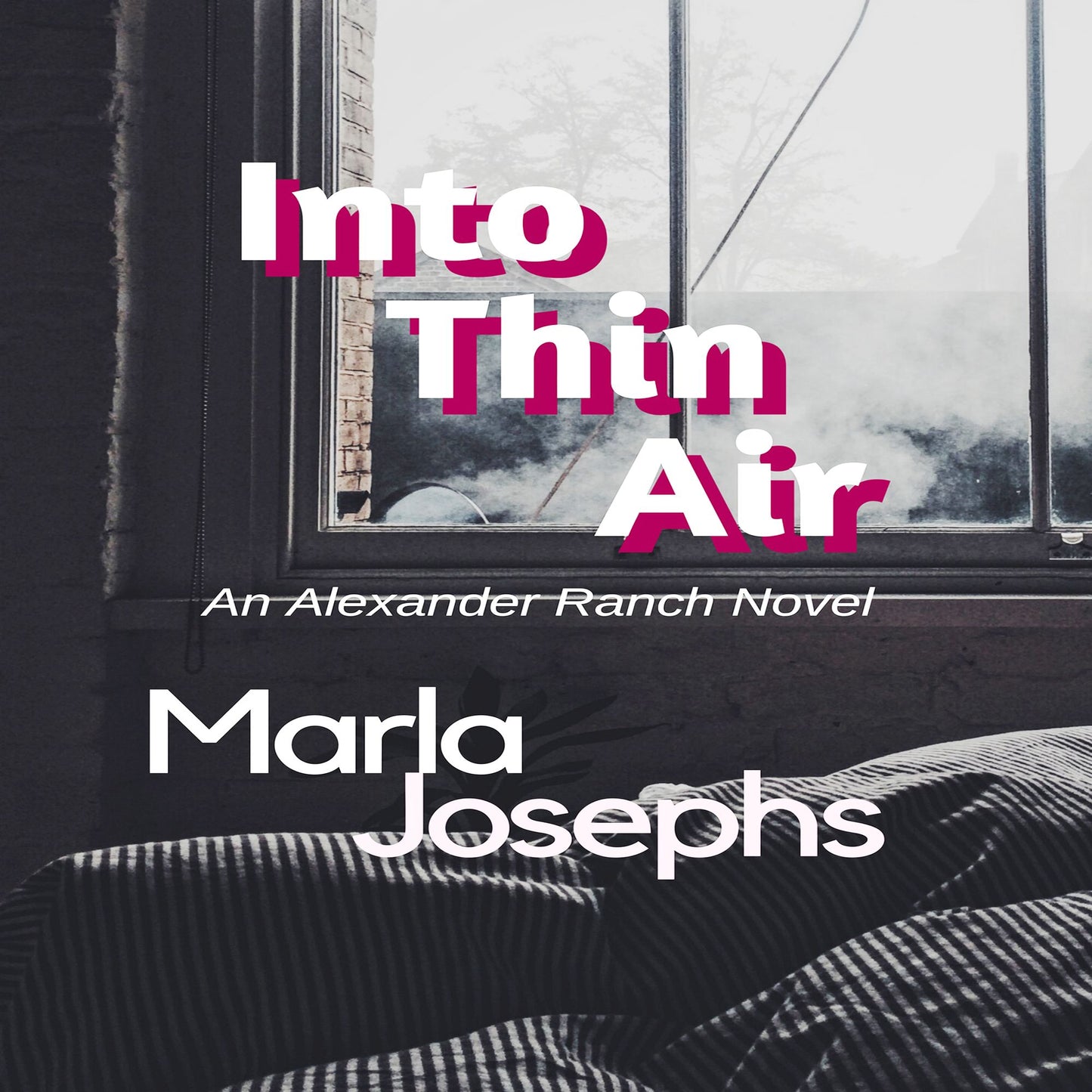 Into Thin Air: An Alexander Ranch Novel