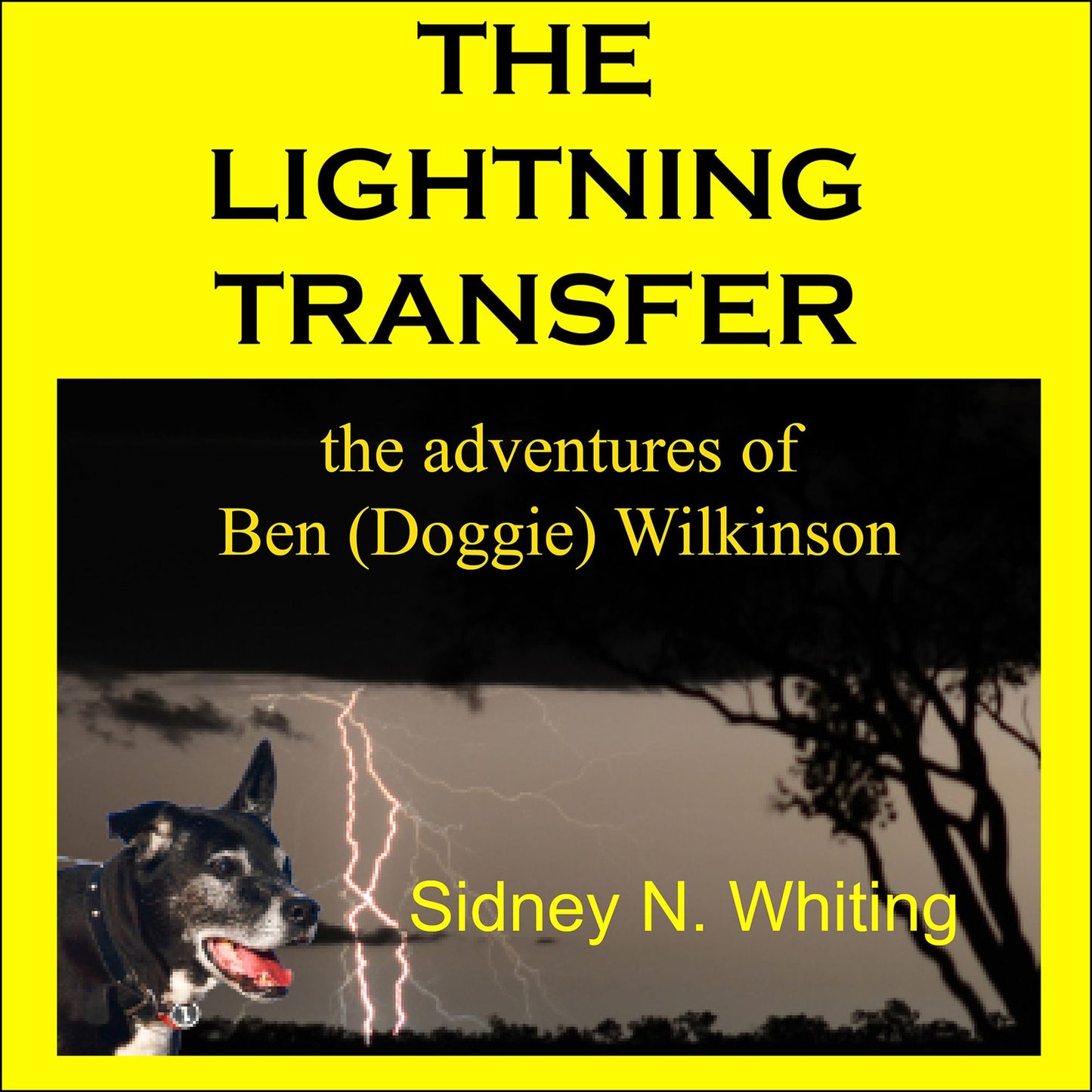 The Lightning Transfer