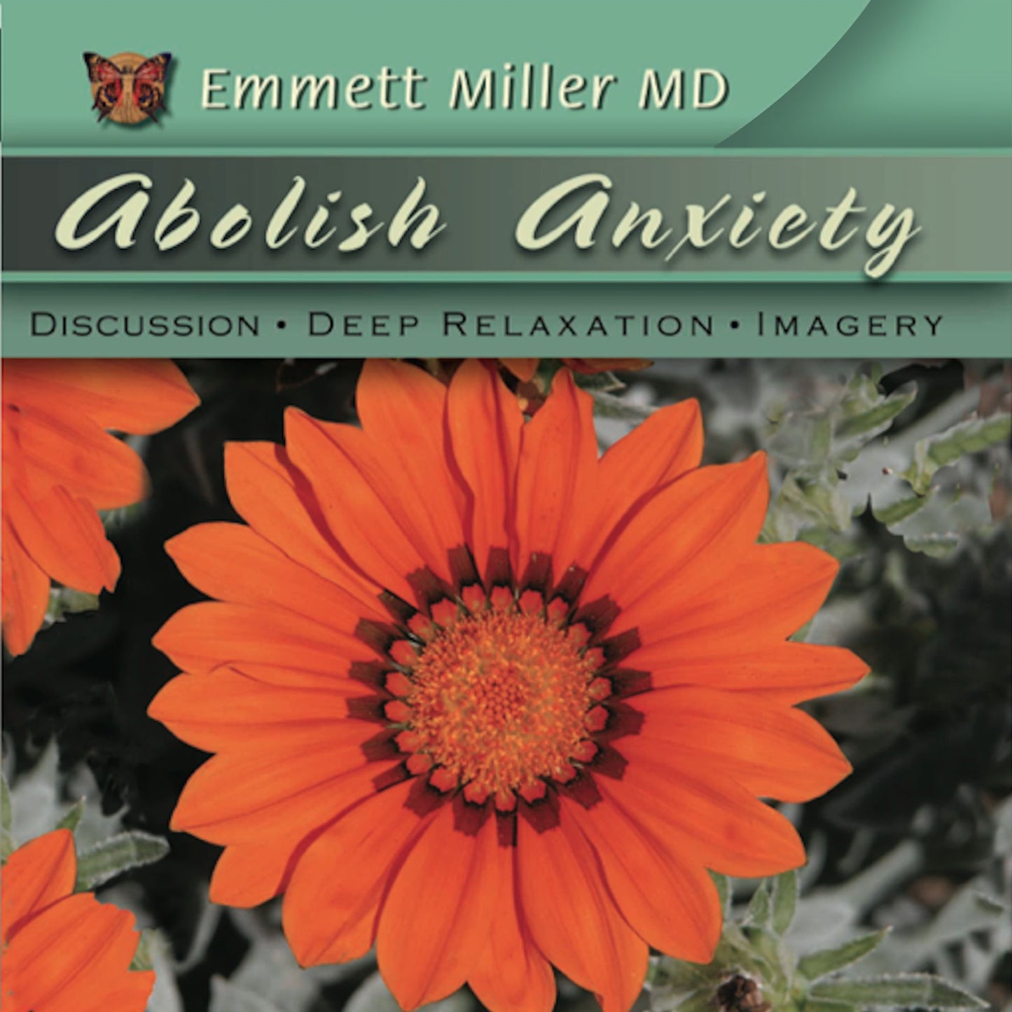 Abolish Anxiety: Transform Your Self-Image, Attitude, and Behavior