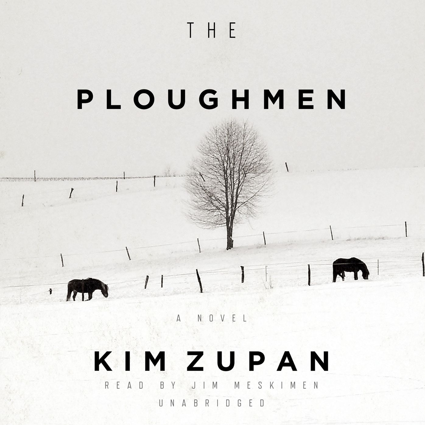 The Ploughmen: A Novel