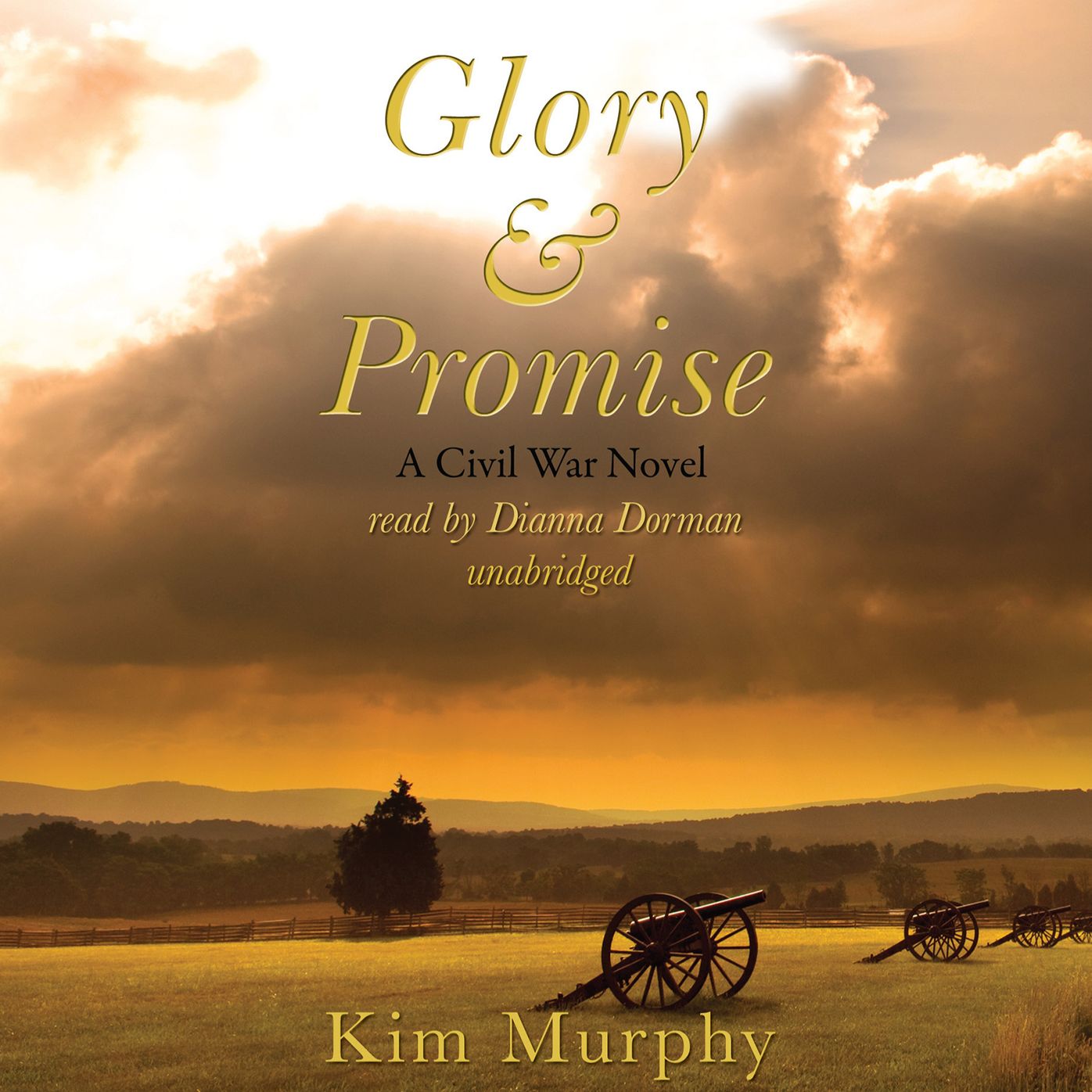 Glory & Promise: A Civil War Novel