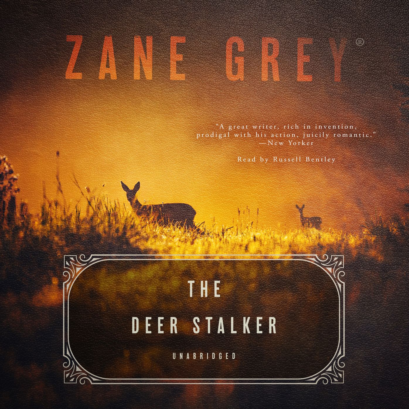 The Deer Stalker: A Western Story