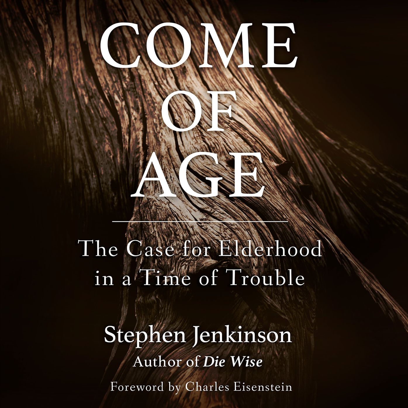 Come of Age: The Case for Elderhood in a Time of Trouble