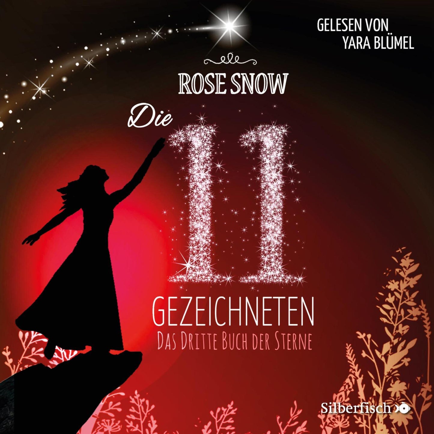 Das dritte Buch der Sterne