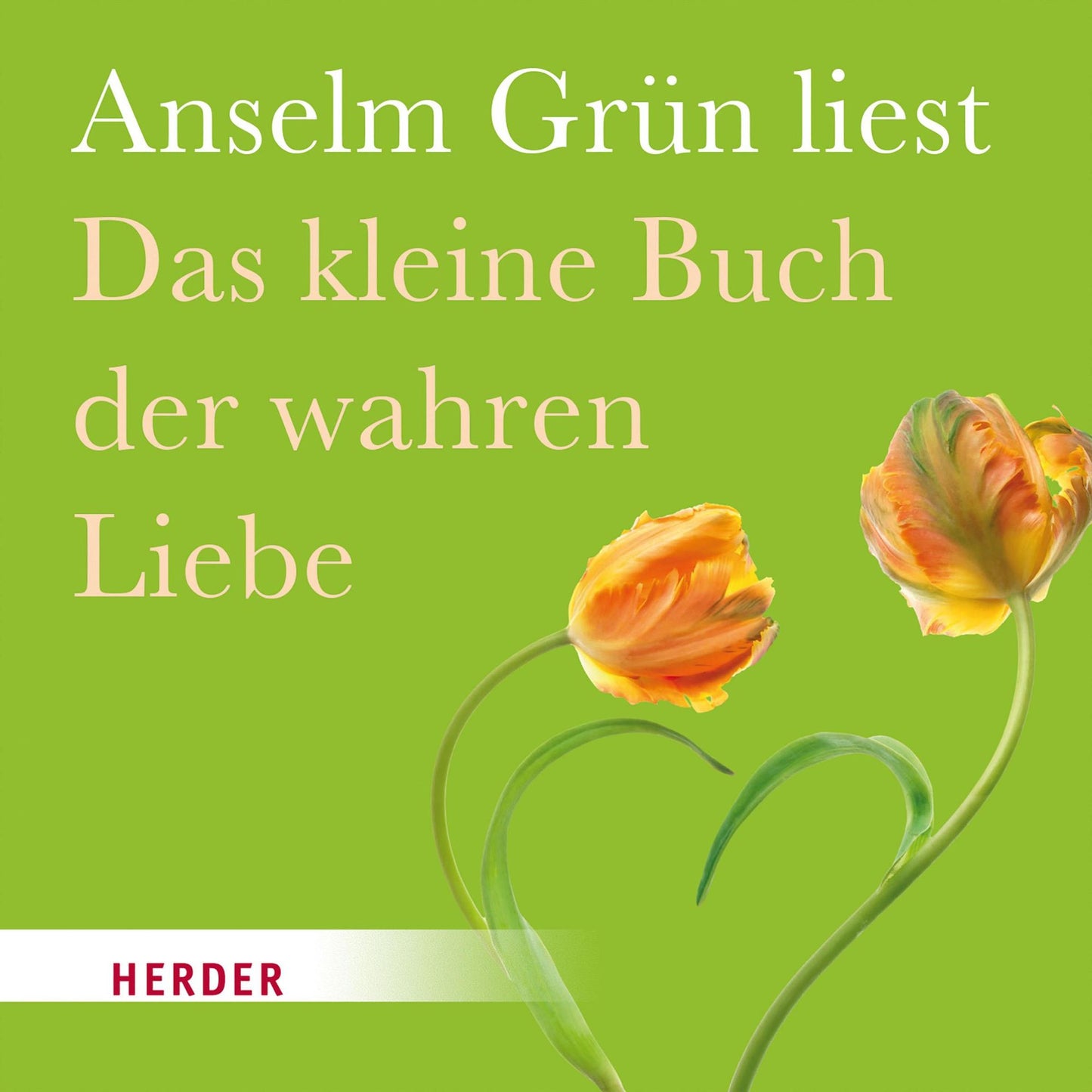 Das kleine Buch der wahren Liebe: Gelesen von Anselm Grün (Abridged)