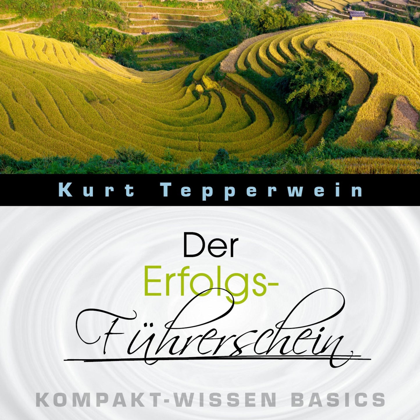 Der Erfolgs-Führerschein - Kompakt-Wissen Basics
