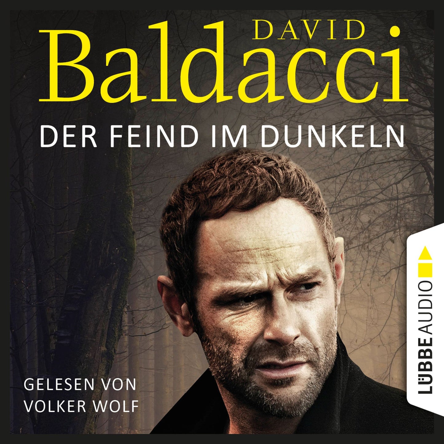 Der Feind im Dunkeln - Will Robies fÃ¼nfter Fall - Will Robie 5 (Abridged)