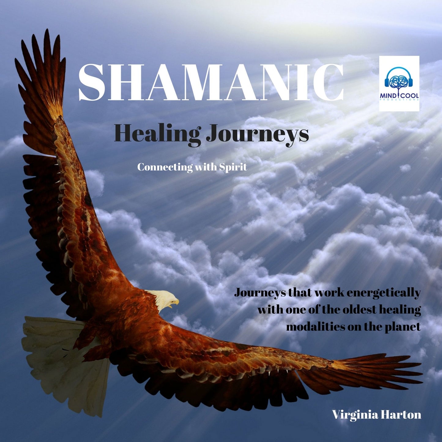 Shamanic Healing Journeys: Connecting with Spirit