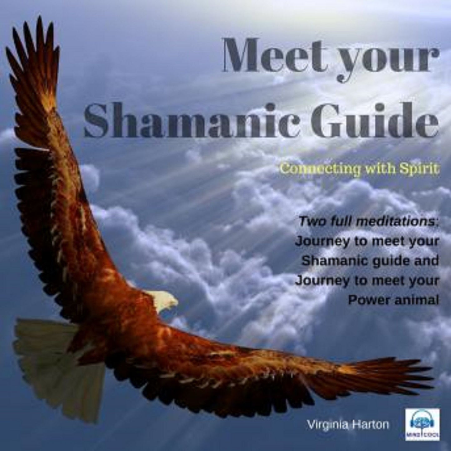 Meet your Shamanic Guide: Connecting with Spirit