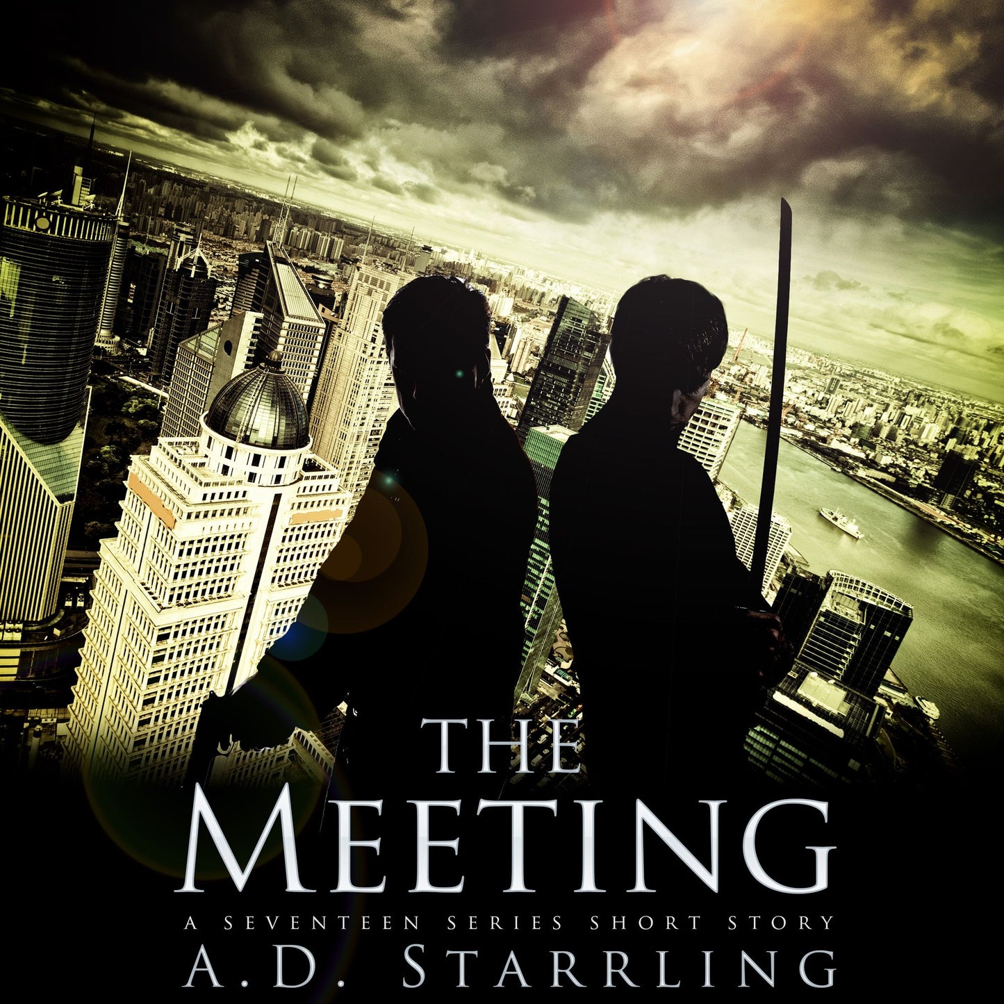 The Meeting: A Seventeen Series Short Story