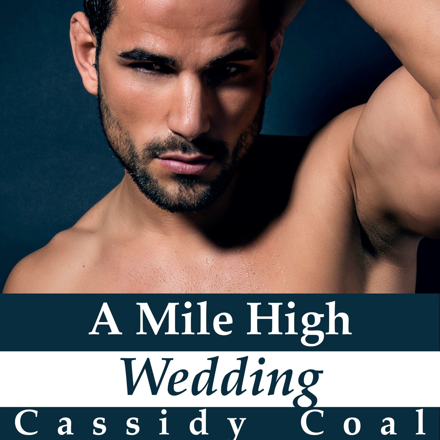 A Mile High Wedding