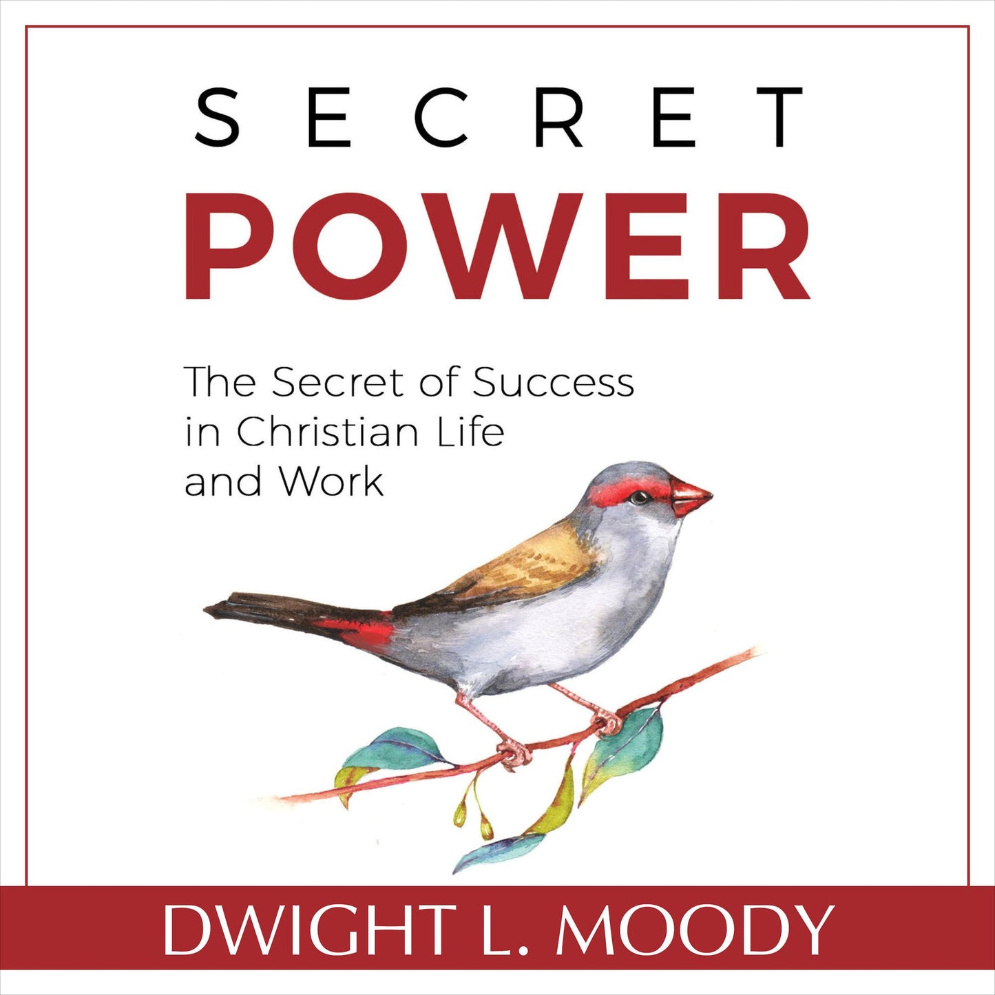 Secret Power: The Secret of Success in Christian Life and Work