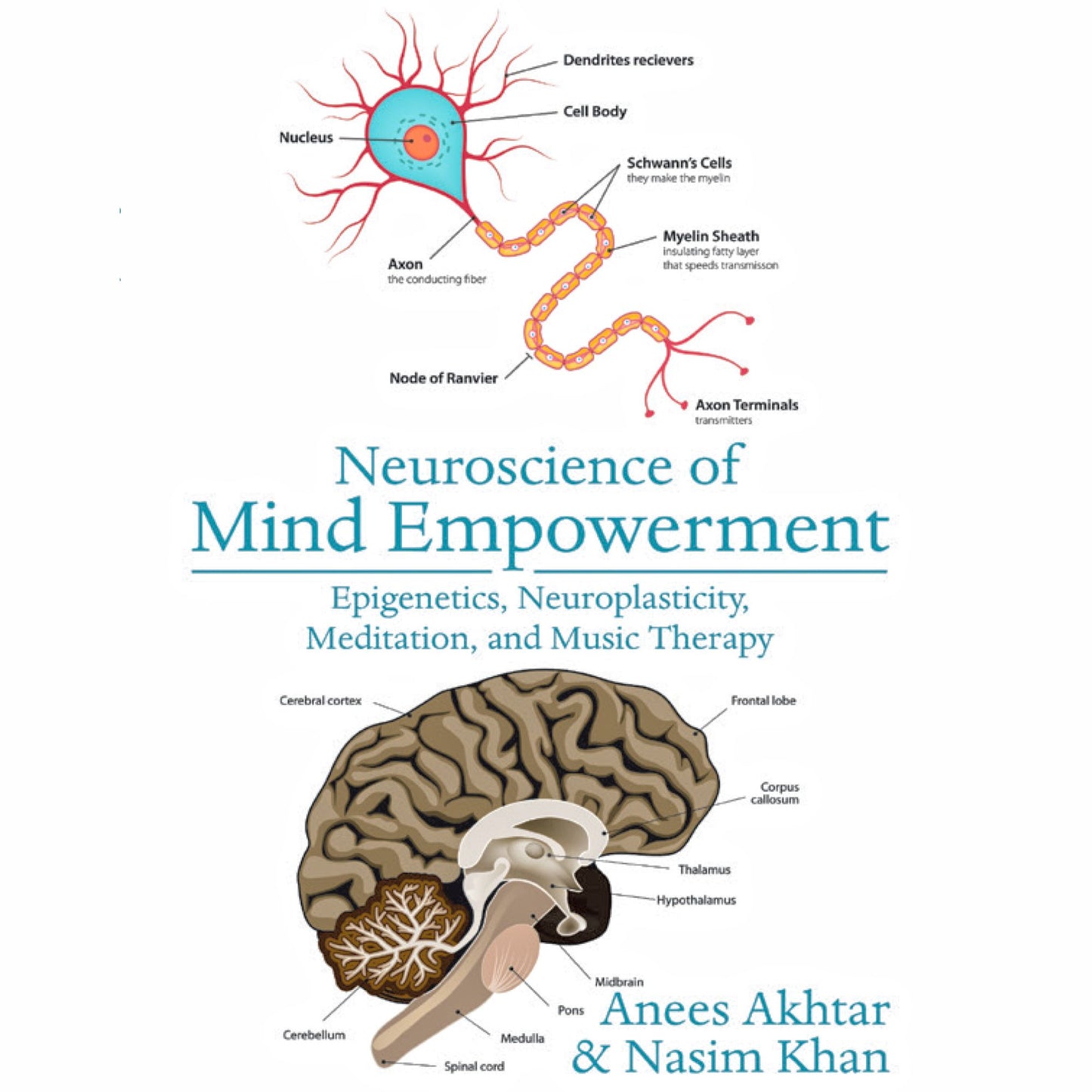 Neuroscience of Mind Empowerment: Epigenetics, Neuroplasticity, Meditation, and Music Therapy (Abridged)