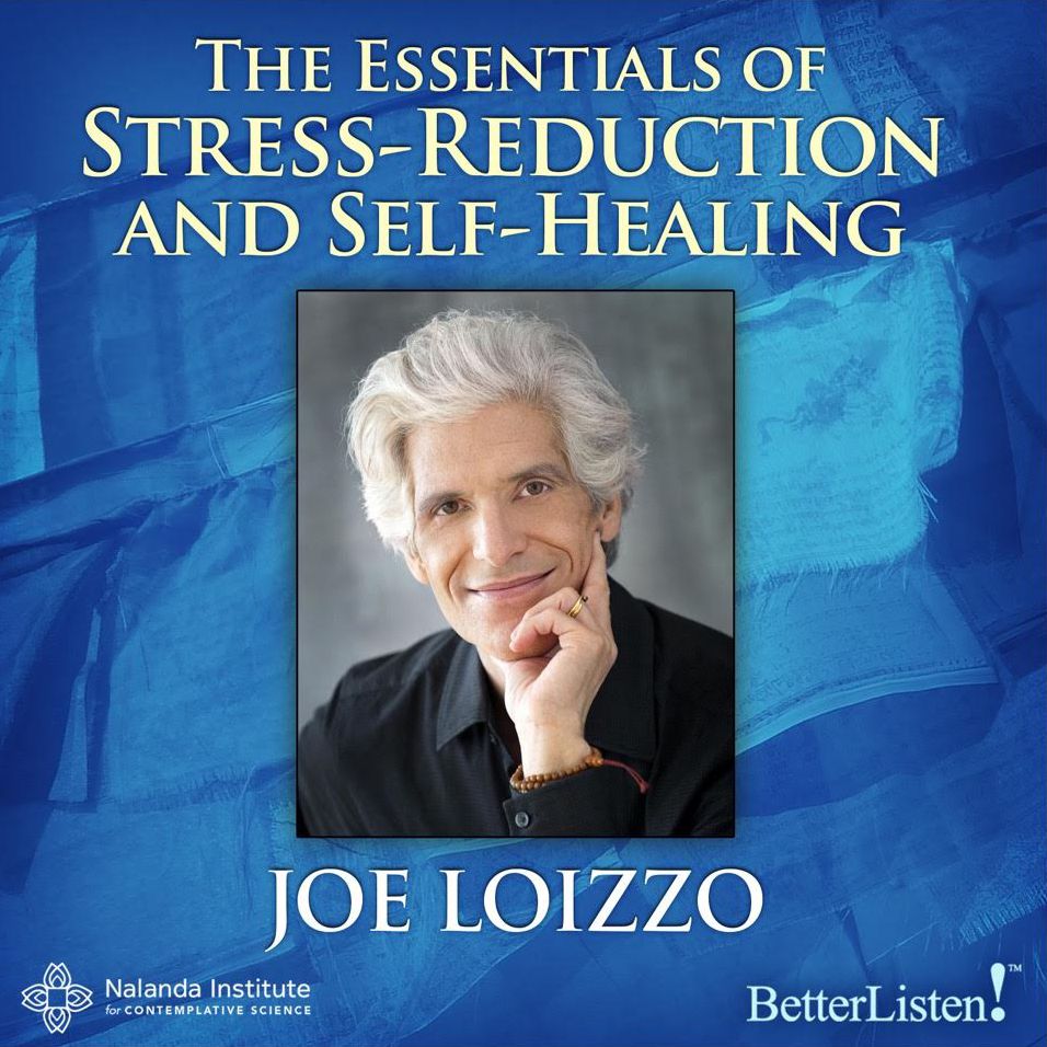 The Essentials of Stress-Reduction and Self-Healing: The Four Truths and Four Scopes of Deep Mindfulness