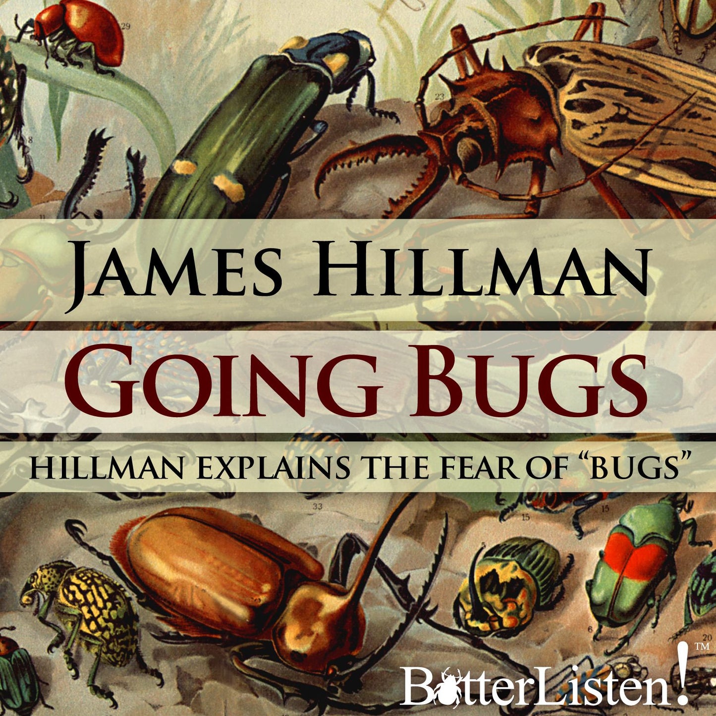 Going Bugs: Hillman Explains the Fear of "Bugs" (Abridged)