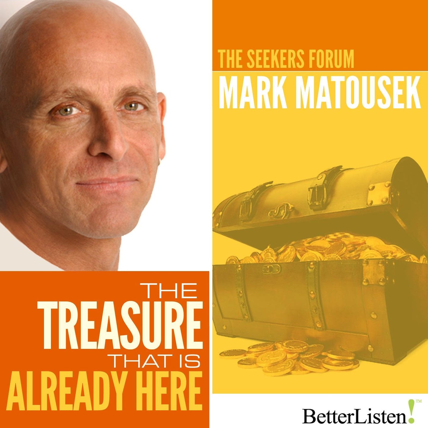 The Treasure That is Already Here: The Seekers Forum