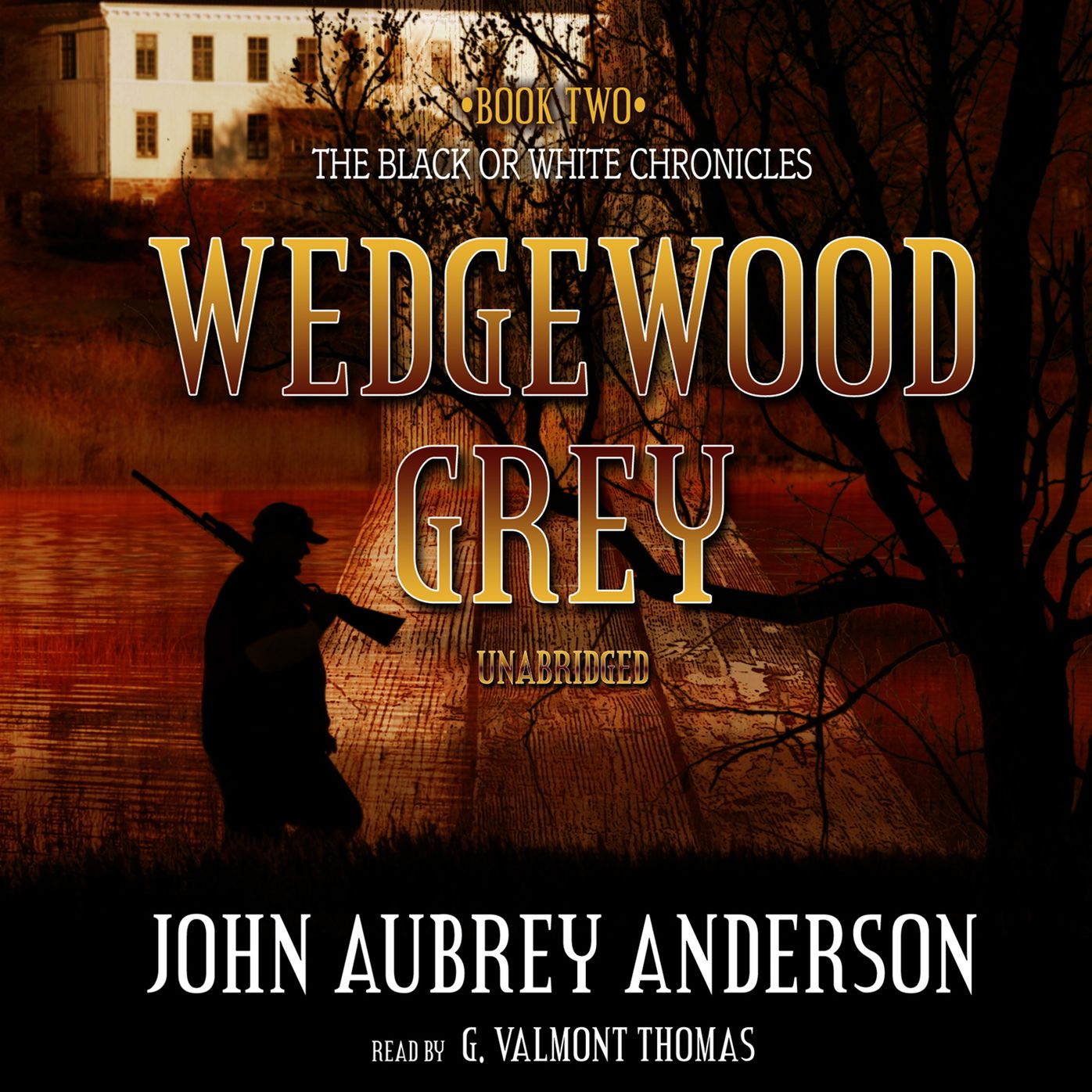 Wedgewood Grey: The Black or White Chronicles, Book Two