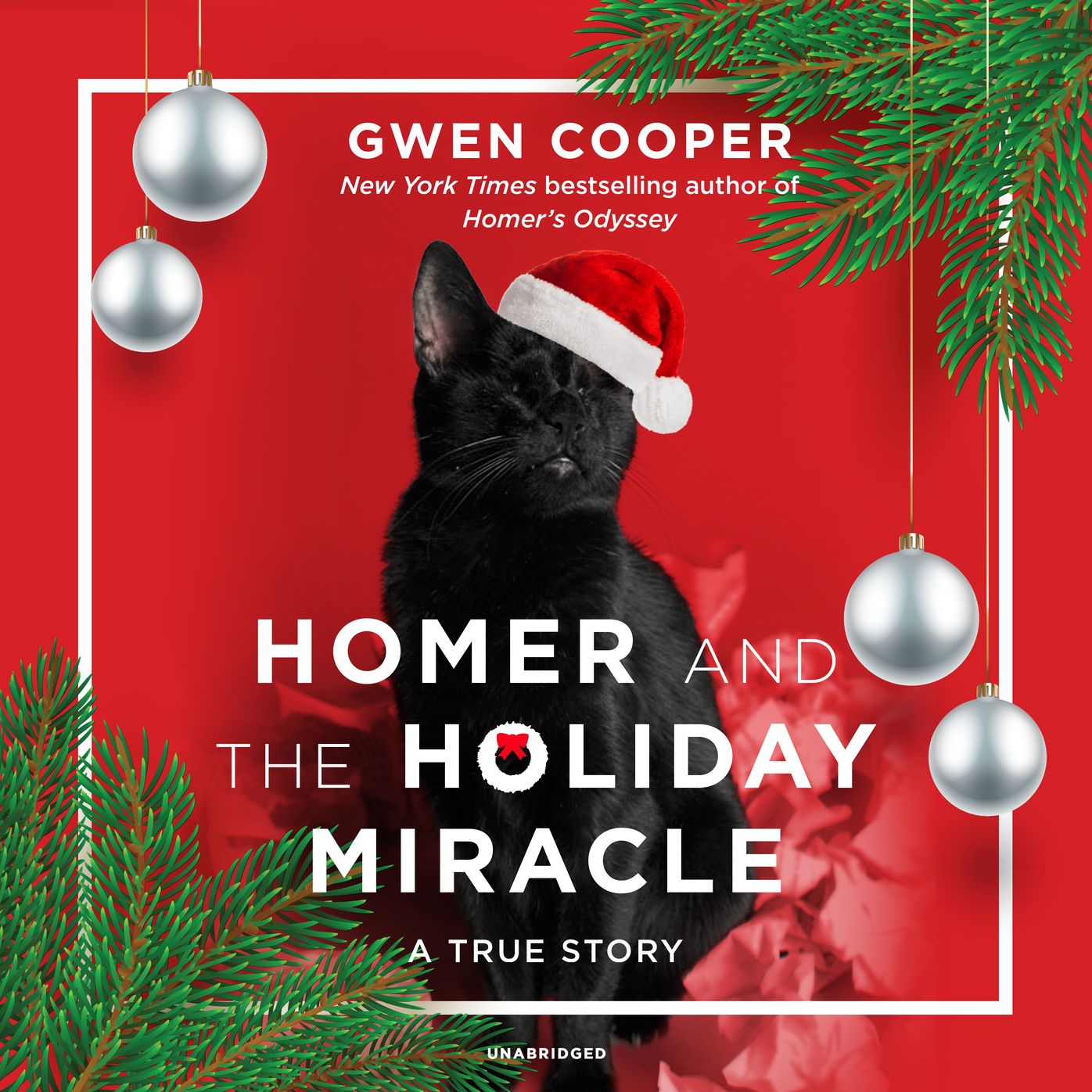 Homer and the Holiday Miracle: A True Story